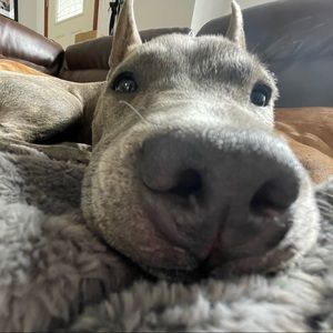 Meet your Posher, Jordan